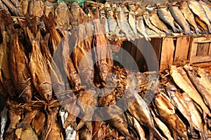 Traditional bazar photo