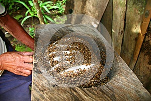 Traditional Beekeeper