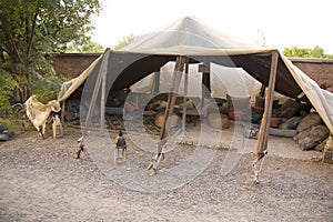 Traditional Berber tent