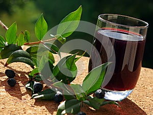 Traditional berry's Liqueur of Sardinia photo