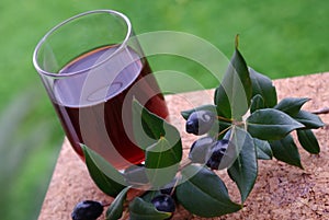 Traditional berry's Liqueur of Sardinia photo