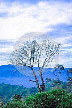 traditional bird cage in mountain