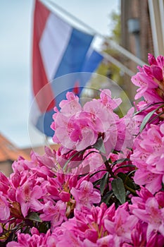 Traditional birthday celebration of King of the Netherlands Willem-Alexander, King's Day national holiday on April 27, Dutch flag