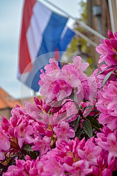 Traditional birthday celebration of King of the Netherlands Willem-Alexander, King's Day national holiday on April 27, Dutch flag