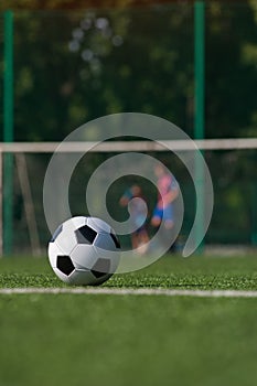 Traditional soccer ball on green grass playground.