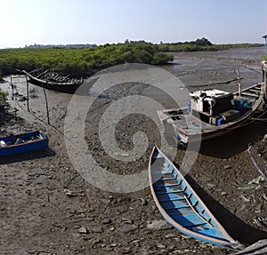 Traditional boats beached in the tidal rivuket of Revas near Alibag