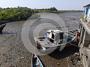 Traditional boats beached in the tidal rivuket of Revas near Alibag