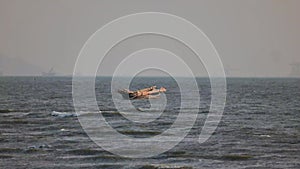 Traditional boats carrying bamboo are anchored amid strong waves at Wannapha Beach, Bang Saen