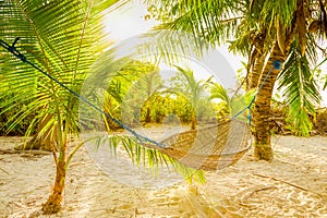 Traditional braided hammock between palm trees in the sun on a tropical beach