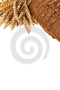 Traditional bread. Fresh loaf of rustic traditional bread with wheat grain ear or spike plant isolated on white background. Rye