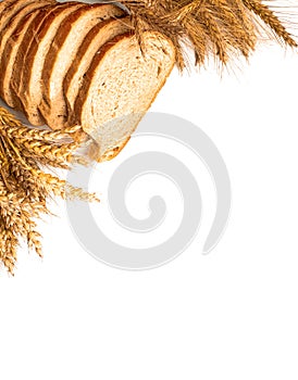 Traditional bread. Fresh loaf of rustic traditional bread with wheat grain ear or spike plant isolated on white background. Rye