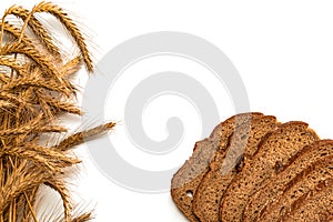 Traditional bread. Fresh loaf of rustic traditional bread with wheat grain ear or spike plant isolated on white background. Rye