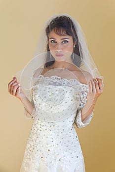 Traditional bride posing with veil