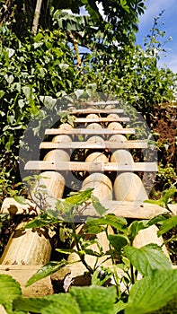 Traditional bridge made of several bamboo slats