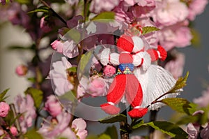 Traditional Bulgarian Martenica