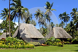 Traditional bure with thatched roof, Vanua Levu island, Fiji