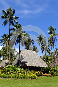 Traditional bure with thatched roof, Vanua Levu island, Fiji