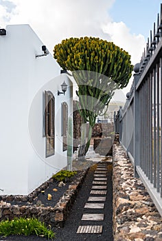 Traditional Canarian house detail Lanzarote Spain photo