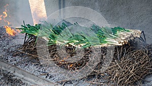 Traditional catalan calsots