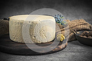 Traditional cheese with blue mold.