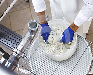 Traditional Cheese Making In A Small Company. Cheese Maker Close photo