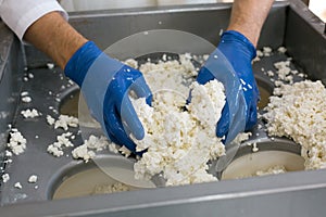 Traditional Cheese Making In A Small producing. Hands Cheese Maker Close-up