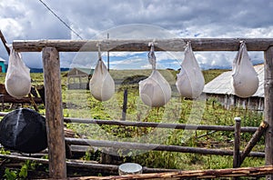 Traditional cheese production in Romania photo