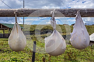 Traditional cheese production in Romania photo