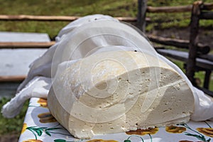 Traditional cheese production in Romania photo