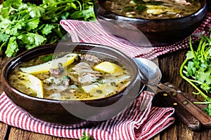 Traditional chilean latinamerican meat soup ajiaco served in clay plate