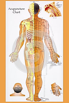 Traditional Chinese Acupuncture Chart