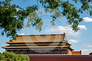 Traditional Chinese architectural roof