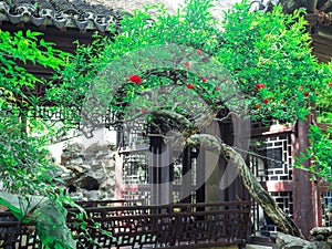 Traditional chinese building with ornate roof and red windows at Yu Gardens, Shanghai, China