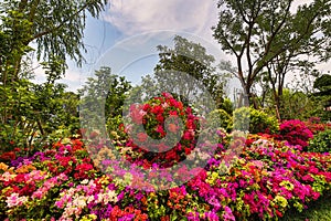 Traditional Chinese City Garden Park in Beijing.