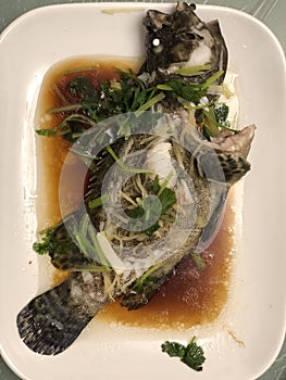 Traditional Chinese Dish of Steam Fish