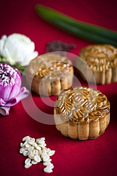 Traditional chinese festive mooncake pastry dessert