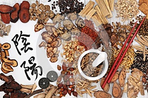 Traditional Chinese Herbal Medicine