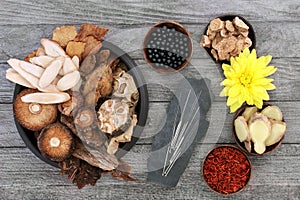 Traditional Chinese Herbal Medicine with Acupuncture Needles