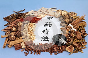 Traditional Chinese Herbal Therapy with Acupuncture Needles