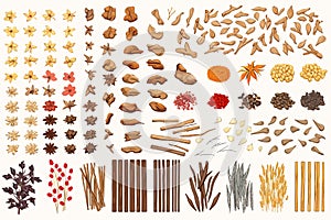Traditional Chinese Medicine Herbs set vector isolated vector style illustration