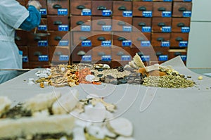 Traditional Chinese Medicine Shop