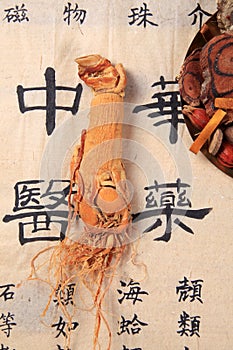 Traditional Chinese medicine TCM and ginseng photo