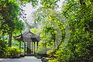 Traditional Chinese pavilion among trees near West Lake, Hangzhou, China