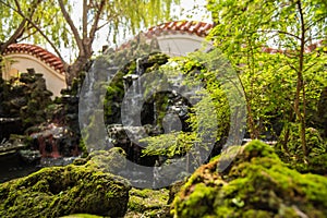 Traditional Chinese private garden