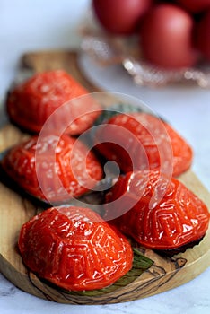 Traditional chinese red tortoise cake