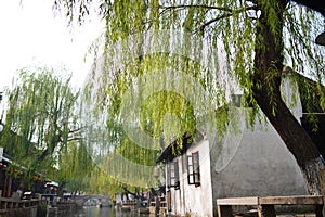 Traditional Chinese Residence at Zhouzhuang Water Town, Jiangsu Province, China