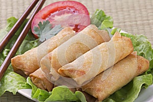 Traditional Chinese Spring Rolls on a bed of lettuce