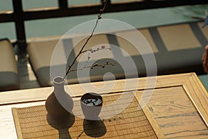 Traditional Chinese tea by a river in Wuzhen, Zhejiang, China