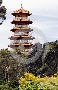 Traditional Chinese Temple Building