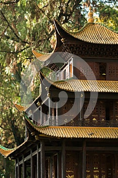 Traditional chinese temple with golden roofs (1)